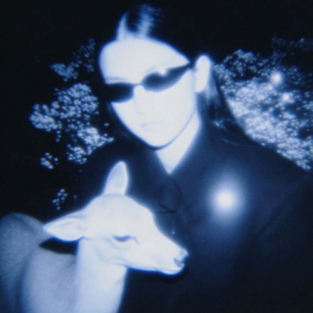 YandexMusic profile picture