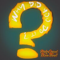 The Dirty Carpet Disco Band