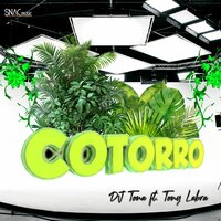 DJ Tona