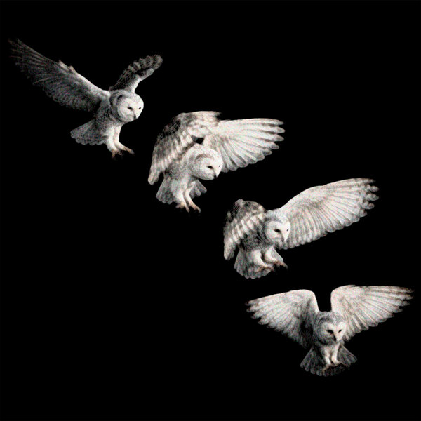 track-cover