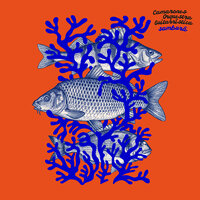 Camarones Orquestra Guitarrística