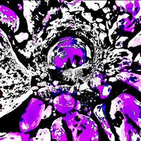 artist-cover