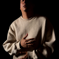 artist-cover