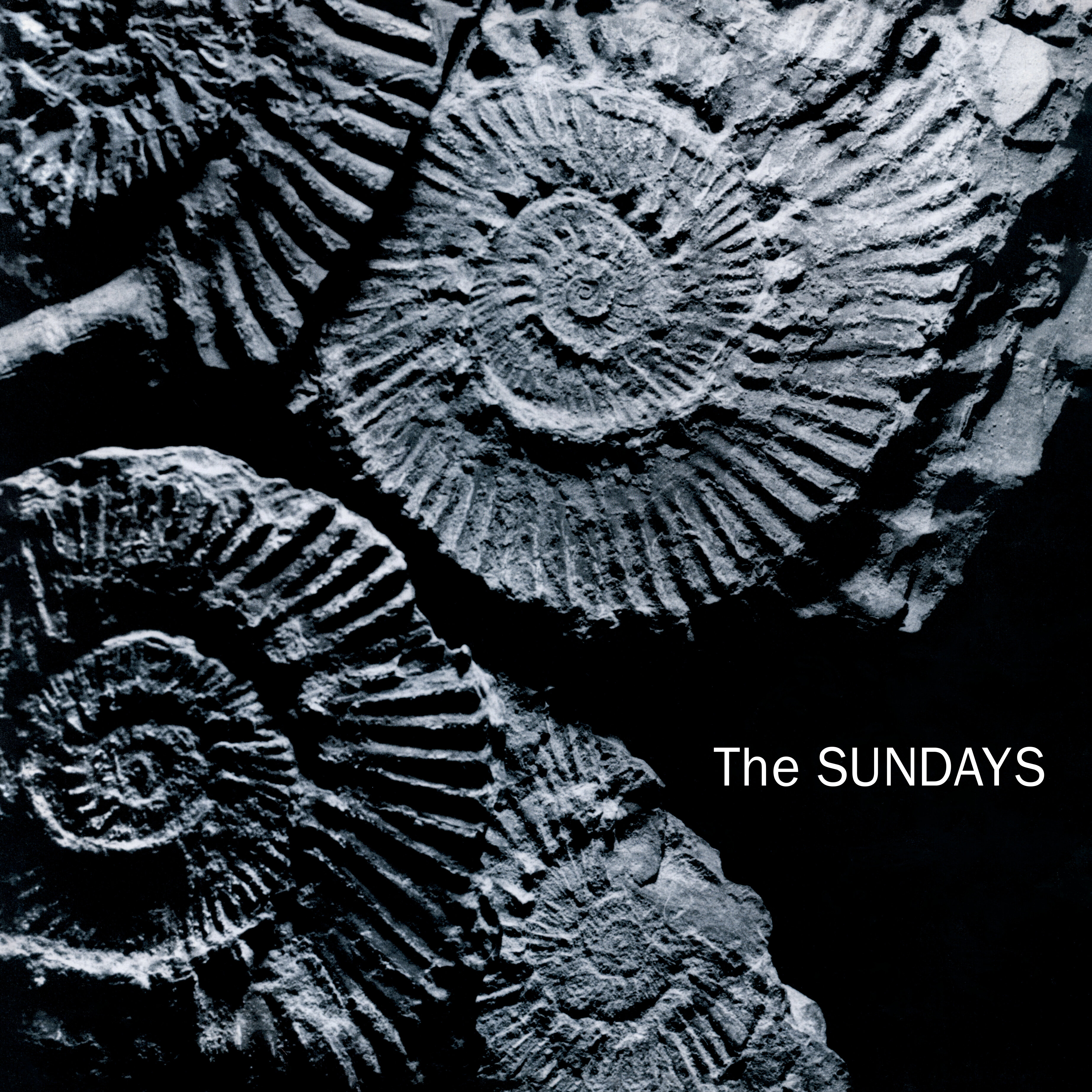 The Sundays