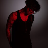 artist-cover