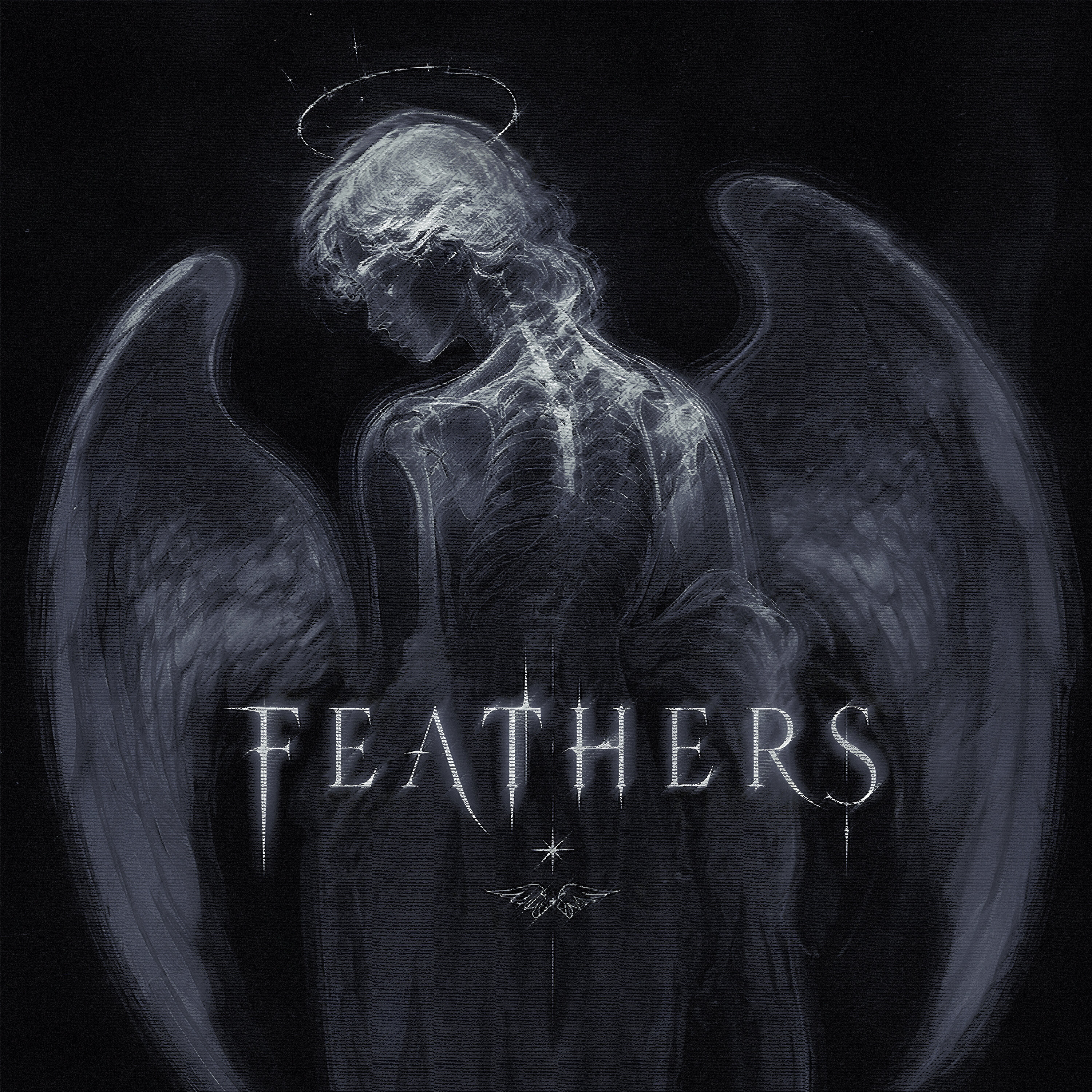 Обложка релиза feathers