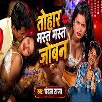 artist-cover