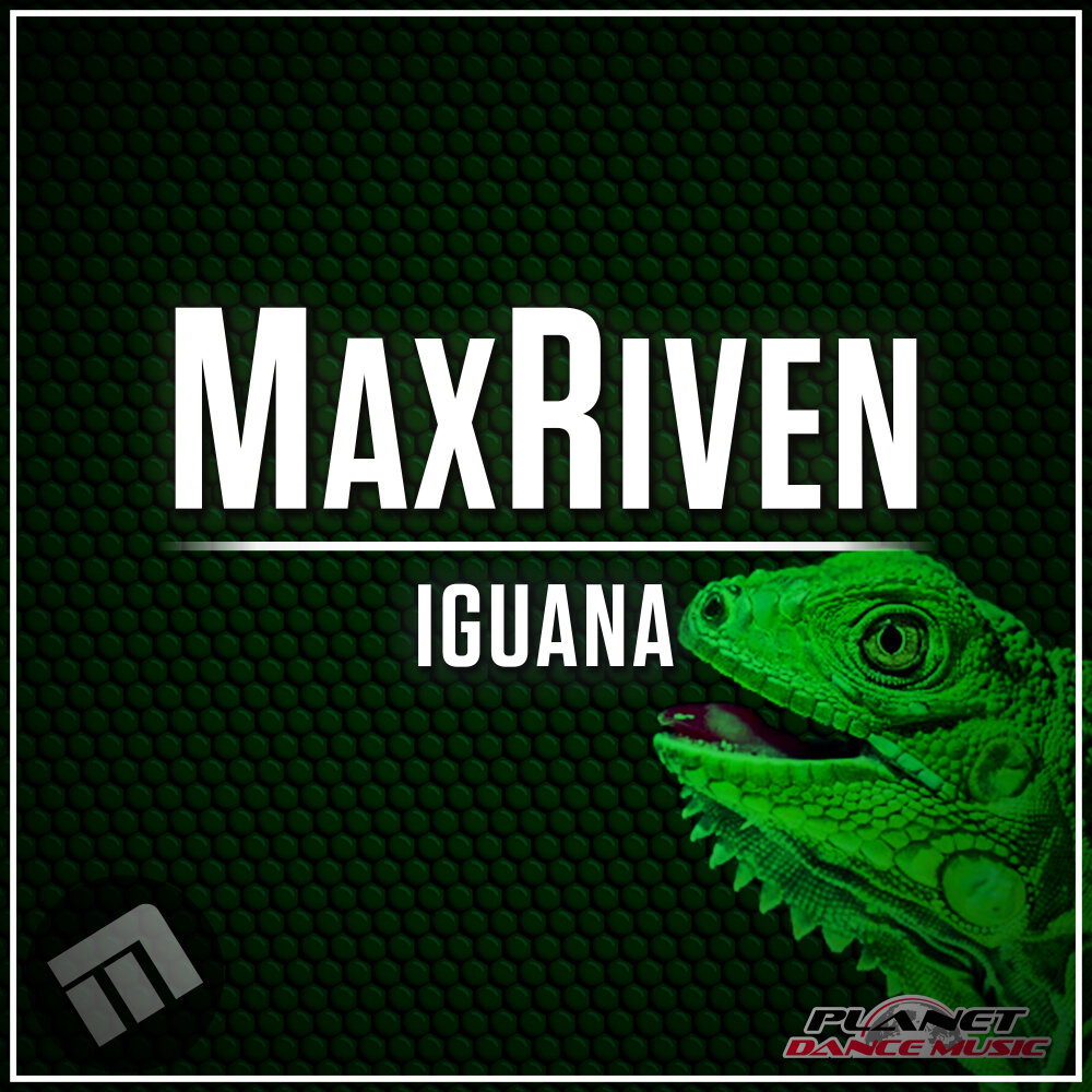 Игуана книга. Игуана оригинал. MAXRIVEN. Игуана Марвел. DJ Fly Iguana слушать.