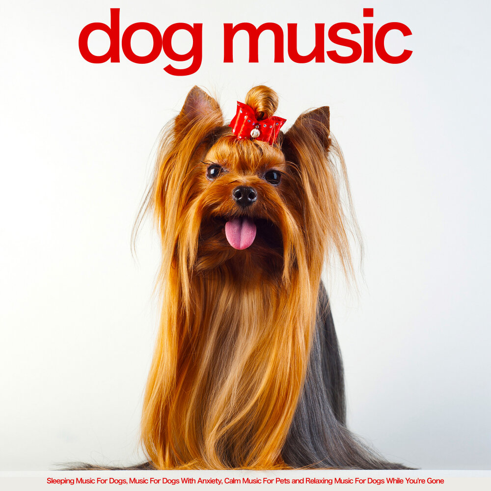 Dog music