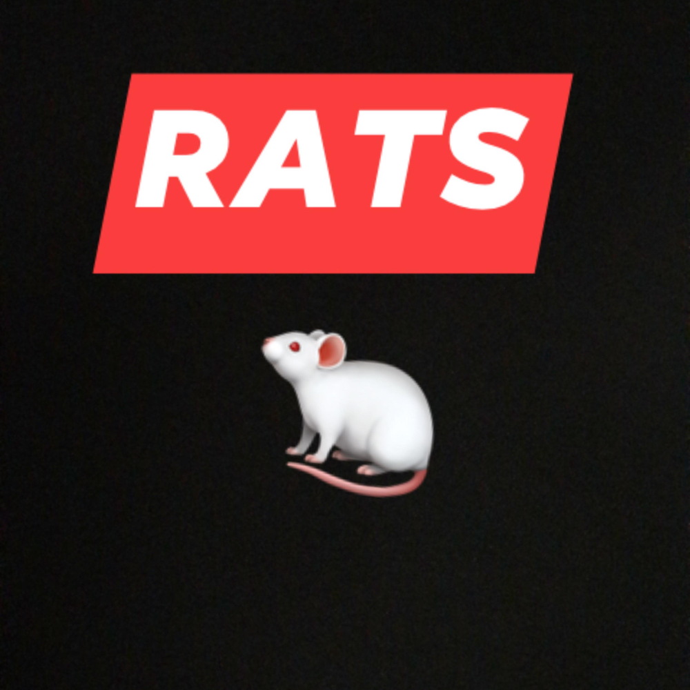 Слушать рат. Rat песня.