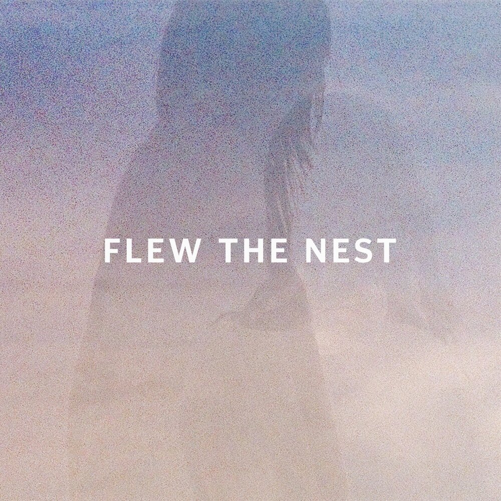 Fly the nest. Fly the nest. Fly the nest idiom. Гнездовые птицы. Цитаты про птиц.