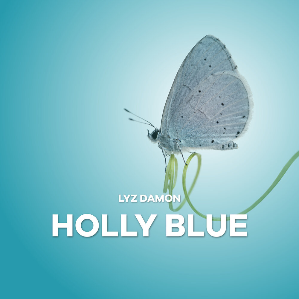 Sailing holly blue. Holly blue. Голубой агат вселенная стивена. Голубой агат вселенная стивена. Голубой агат вселенная стивена.