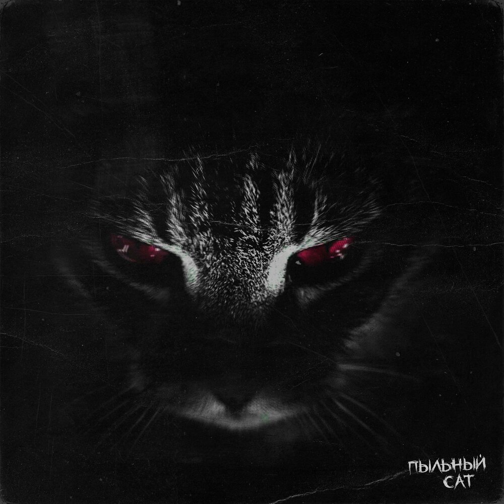 Звуки злых котов слушать. Кошачий голос. Голос котят. Пыльная кошка. Альбом с чёрной кошкой.