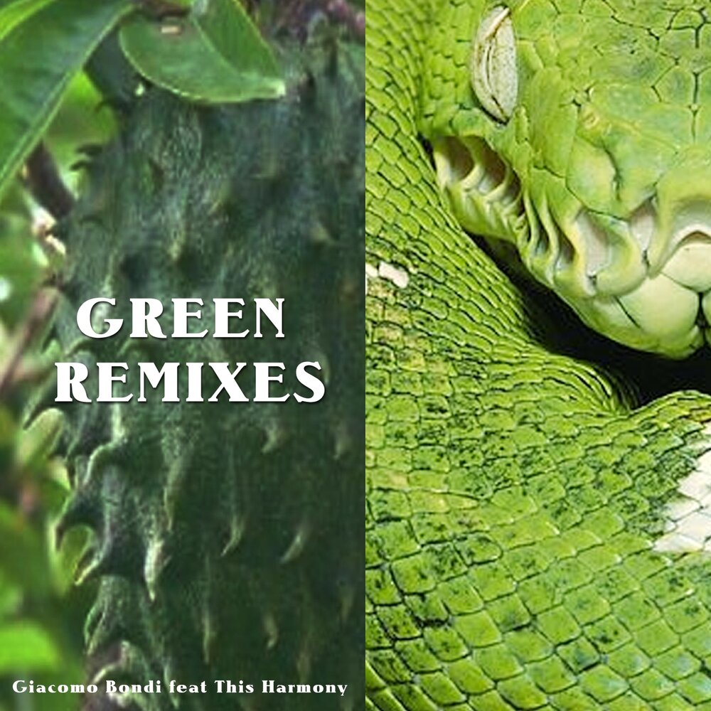 Green remix. Giacomo Bondi обложка. Тести Грин. Giacomo Bondi Википедия.