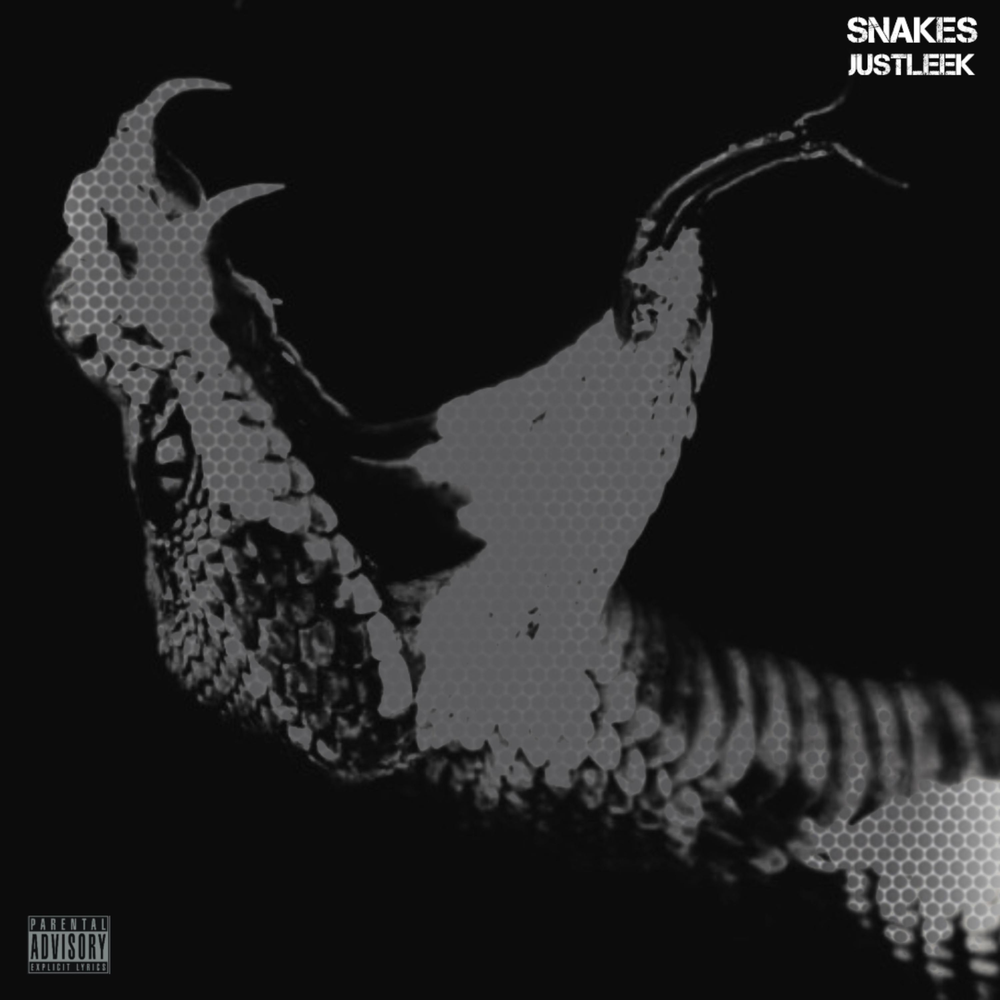 Just snake. Just Snake 2014. Песня Snake jour или just Snake.