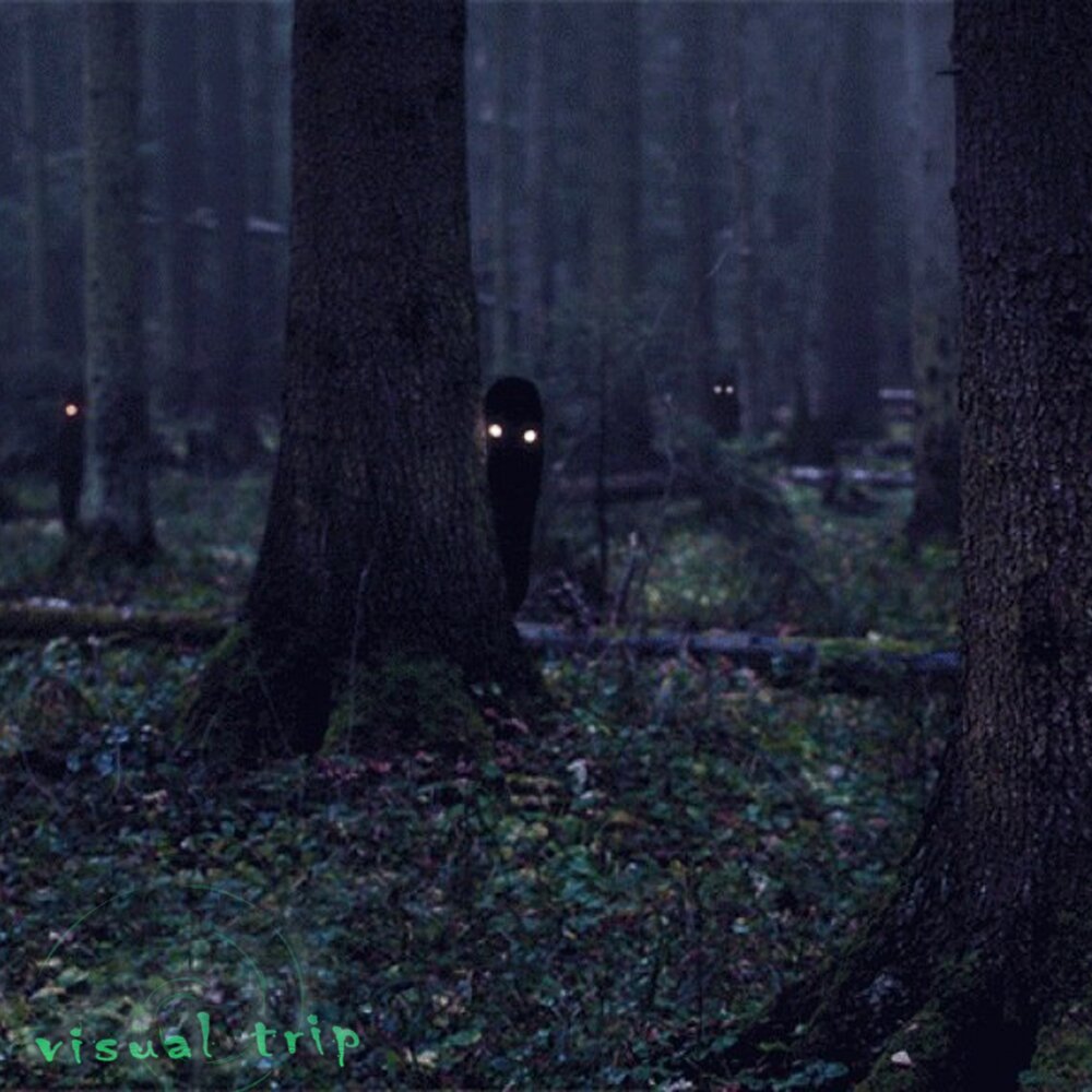 Лес призраков (the Forest), 2015