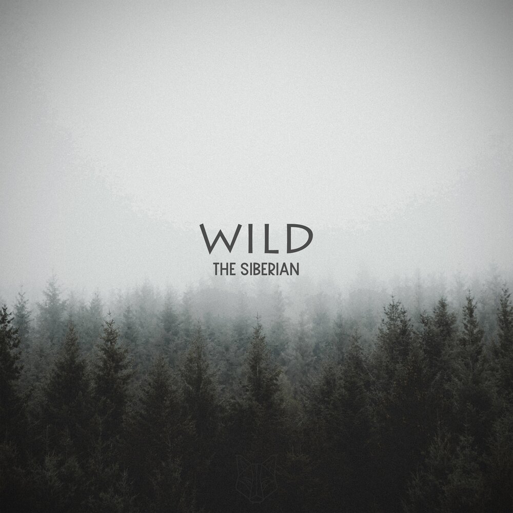 Песню вилд. Wild песня. Wild сингл. Wildest альбом. Wild Siberia.