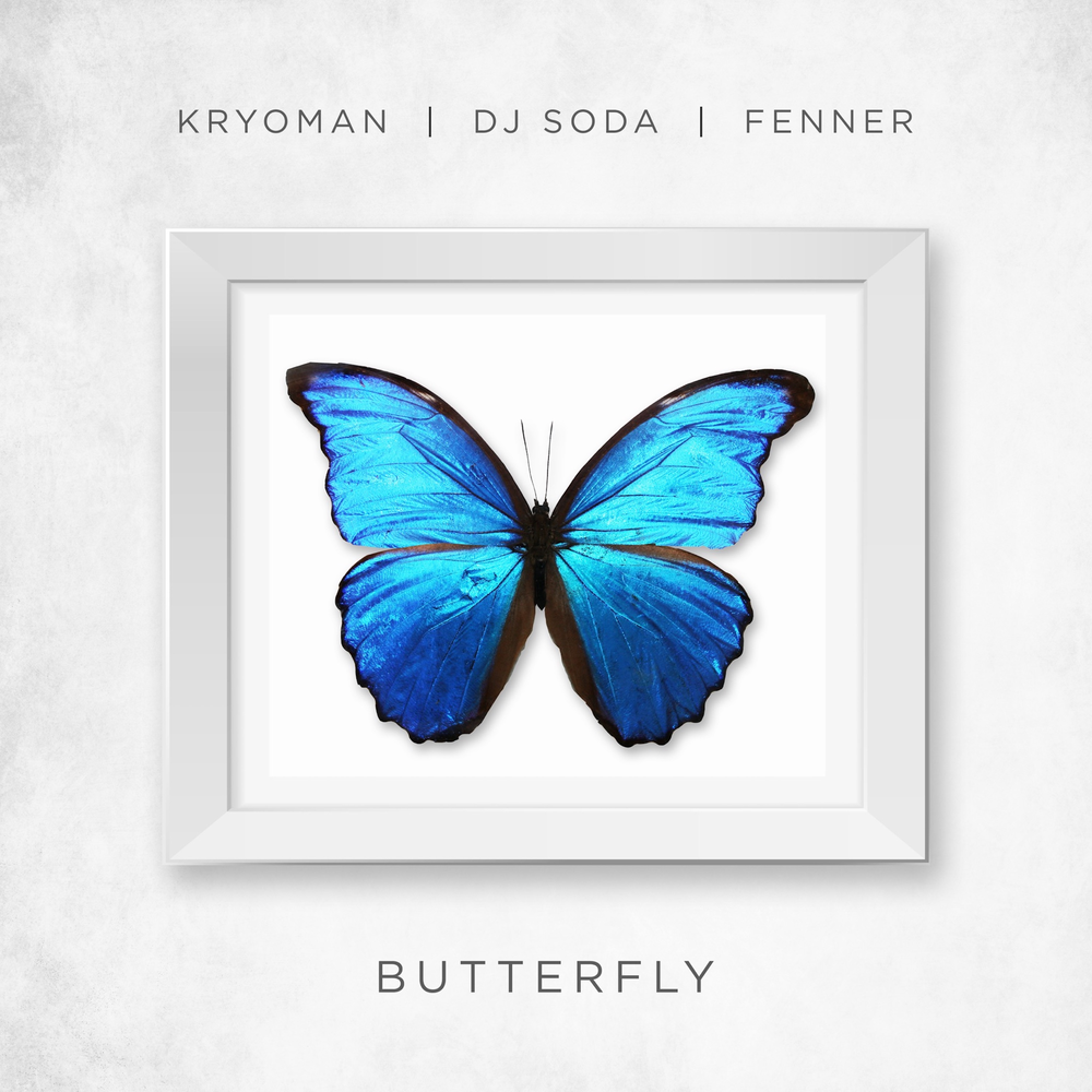 Бабочка обложка. Butterfly обложка. Butterfly обложка песни. Butterfly исполнитель. Альбом с бабочкой на обложке музыка.