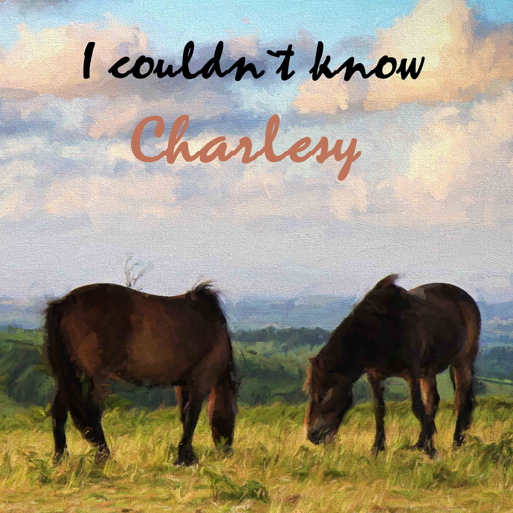 Модальный глагол can can't. I couldn t ask. Who asked. I couldn t ask. Джанго освобожденный.