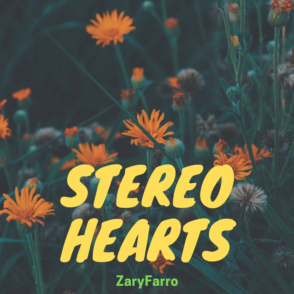 Песня stereo hearts gym. Gym class Heroes feat. Adam Levine - stereo Hearts. Stereo Hearts. Adam Levine stereo Hearts. Stereo Hearts обложка.