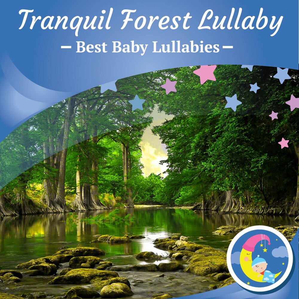 Forest lullaby. Tranquill Forest. Forest Lullaby что значит.