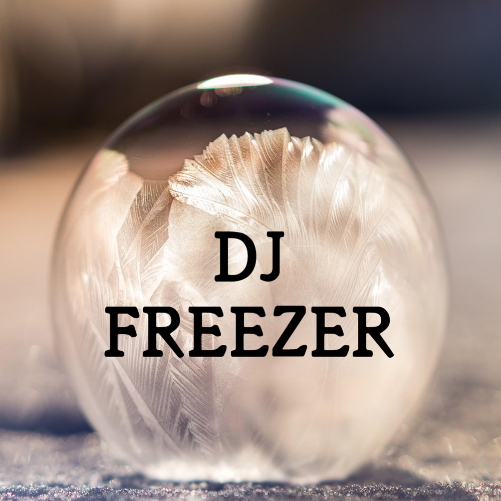 Dj freeze. Frozen DJ.