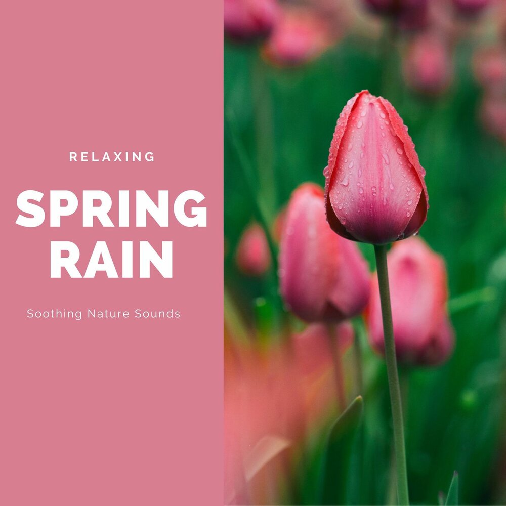 Spring relax. Spring relax