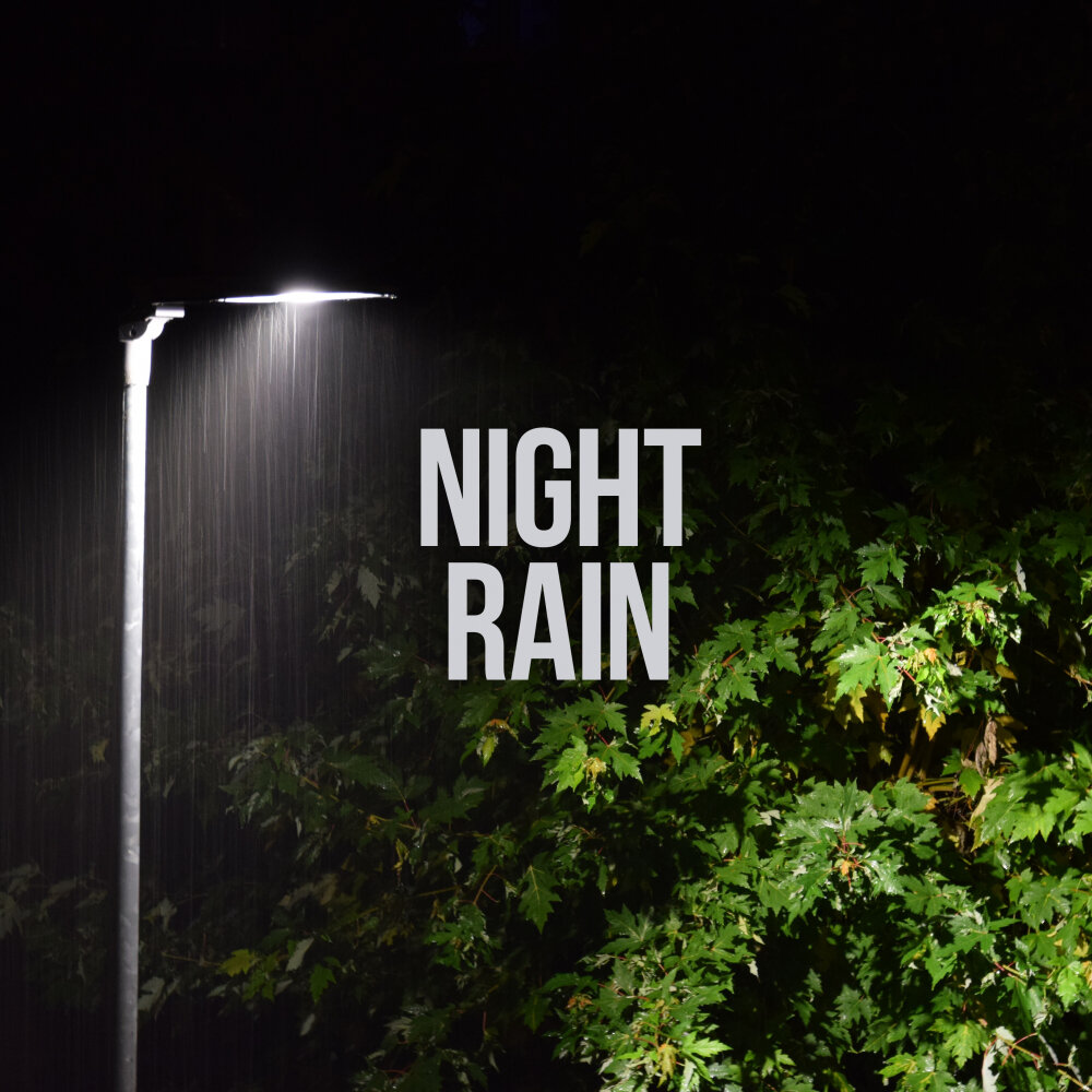 Quiet night. Torrential Rain at Night. Torrential Rain at Night in the Sea. Torrential Rain with Leaf Falling at Night.