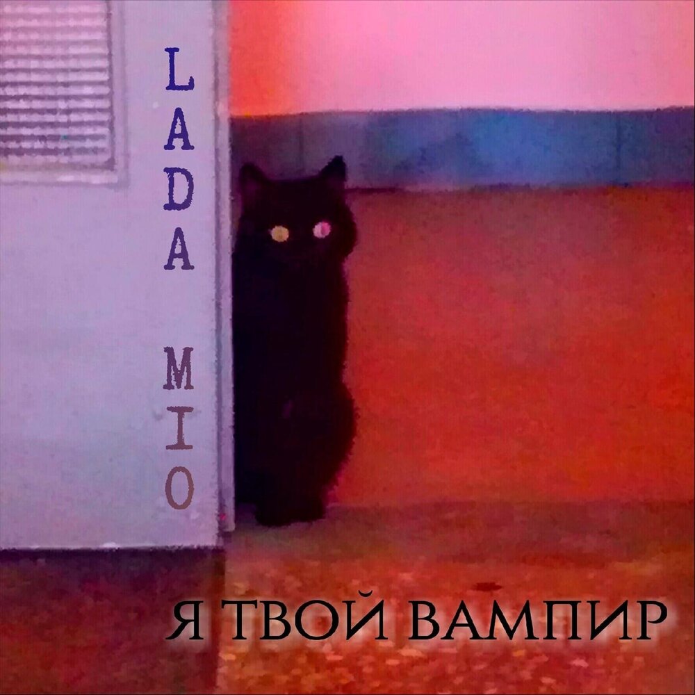 Твой вампир. Я твой вампир.