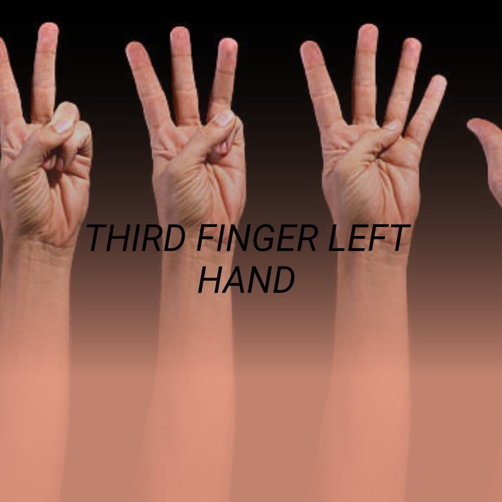 Hands compilation