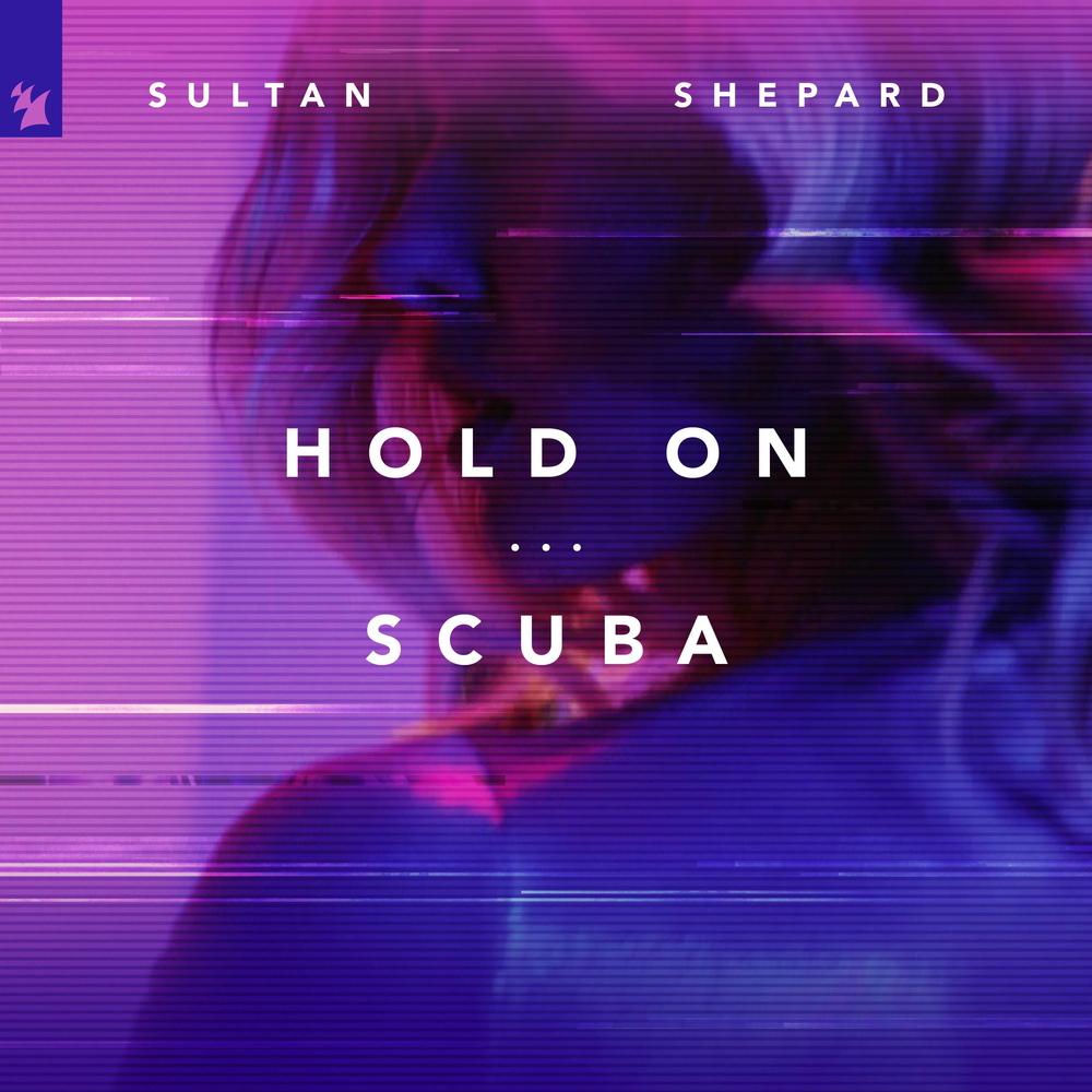 Hold on песня. Sultan Shepard something, everything. Sultan + Shepard, Richard Walters - something, everything. Sultan & Shepard High on emotion (Extended Mix). Sultan+Shepard что означает.