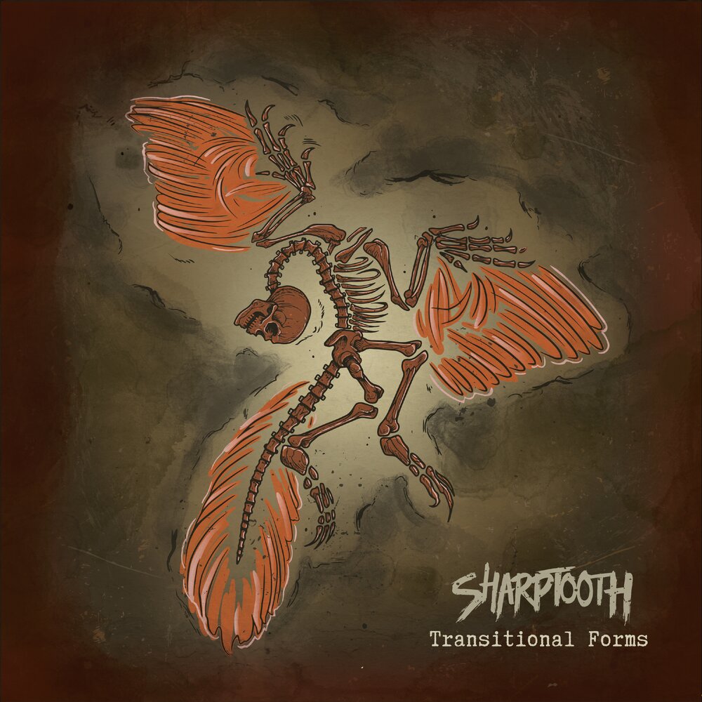 track-cover