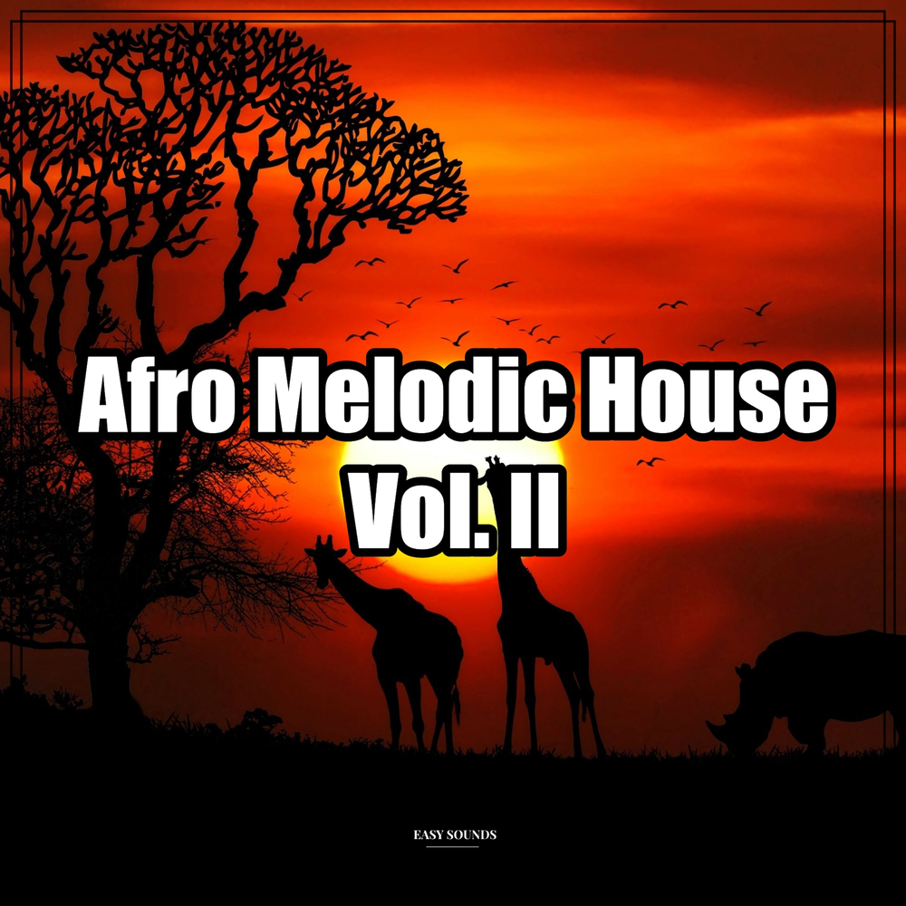 Afro house music. Картинка в стиле afro house. Основы написания афро хауса. Afro house music. Afro house music photo.