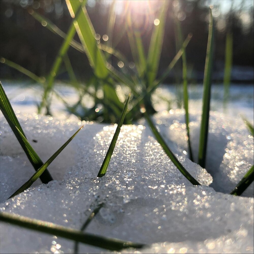 Снег послушать. Rain turns to Snow. Snowy Music.