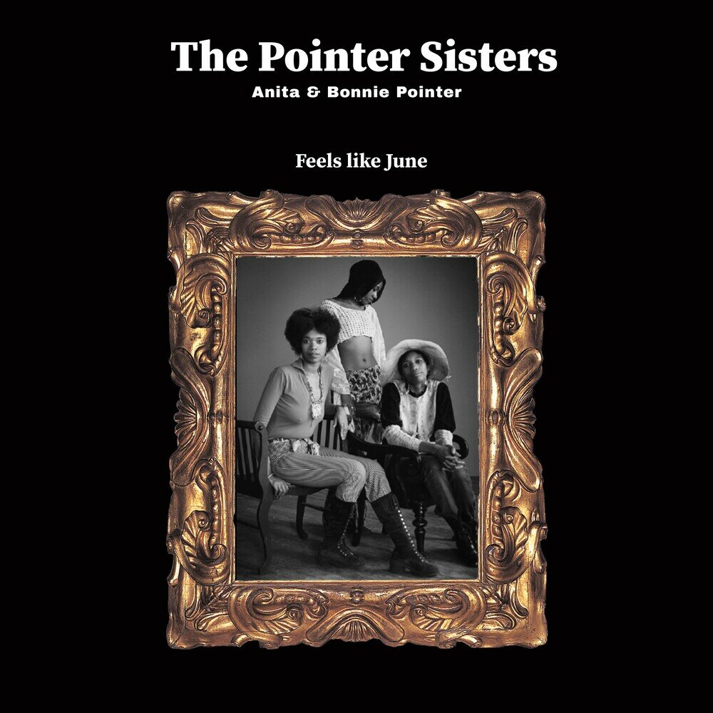 Sister feel. The Pointer sisters albums. Группа the Pointer sisters posters. The Pointer sisters i'm so excited. June like you.