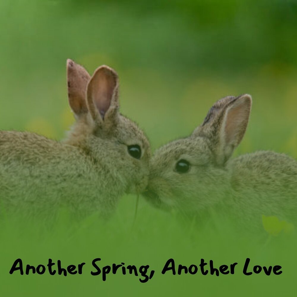 Another spring. Another spring. Another spring. Журнал another. Vandall.