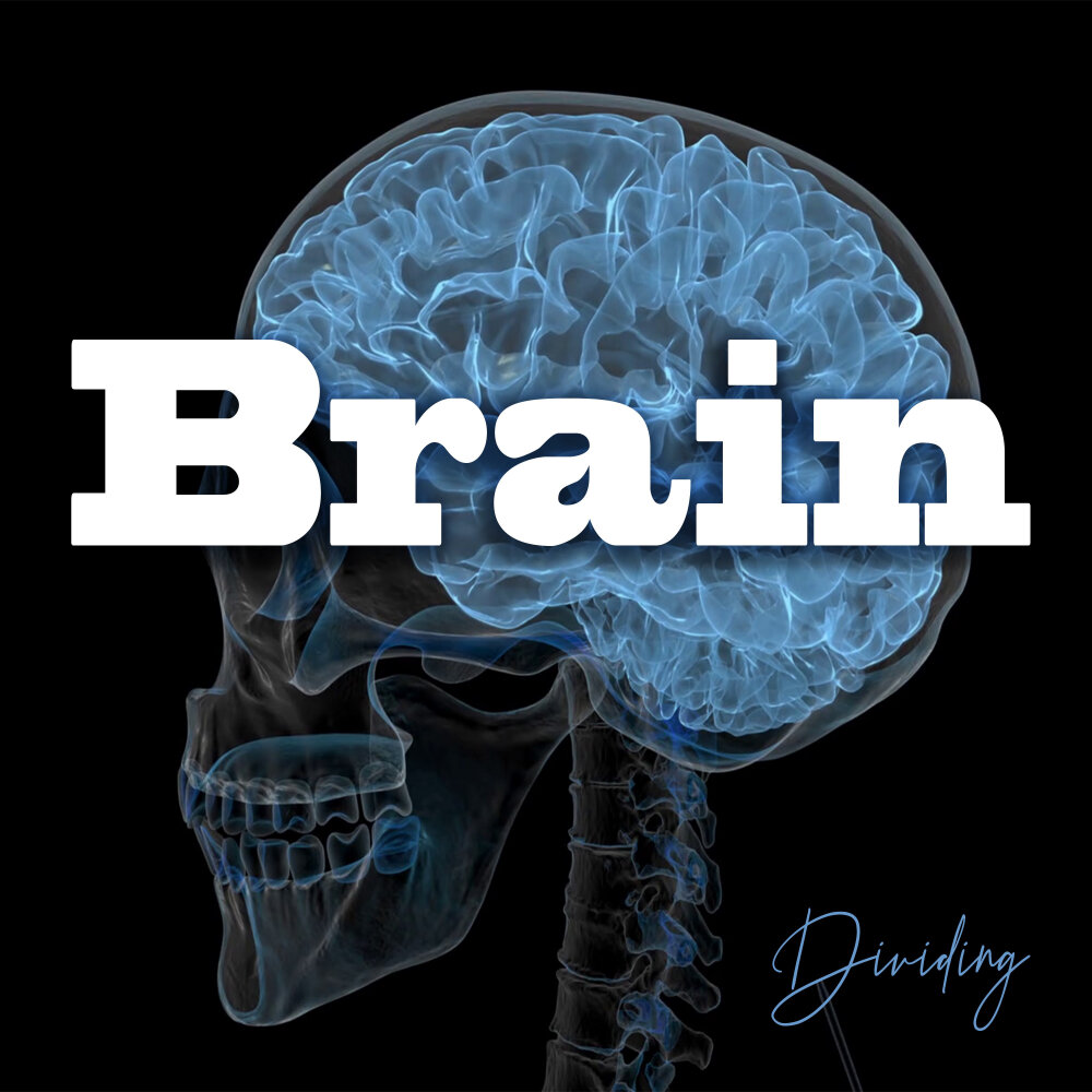 Brain слушать. Минус мозг. В поисках мозга.
