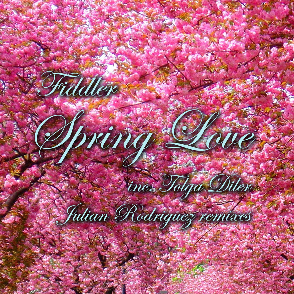 Spring love. Spring my Love. Love Spring Love. Spring Love jpg.