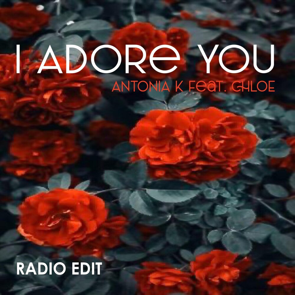 Edit feat. I adore you песня. I adore you.