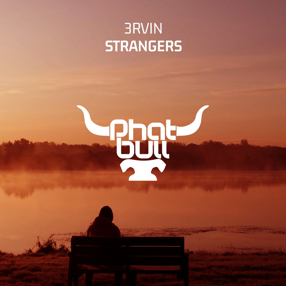 Песня strangers mixed. Stranger - Radio Edit. RVIN.