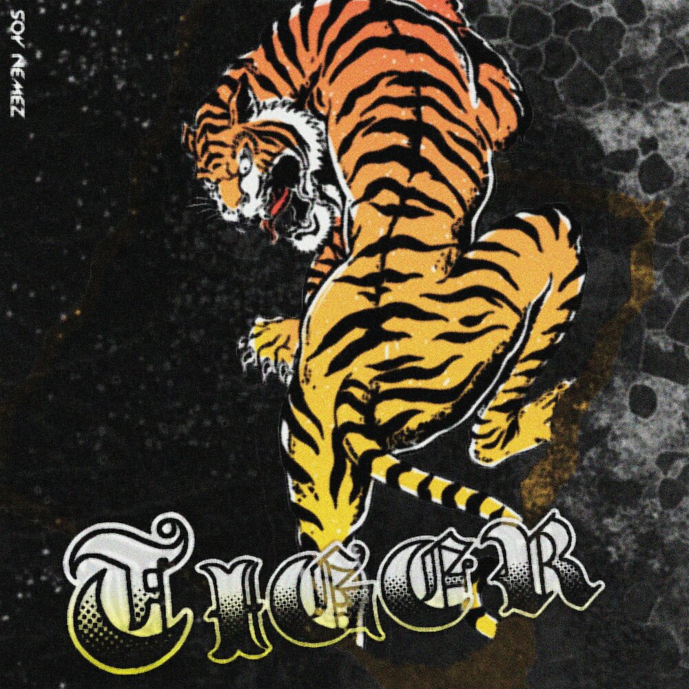 Тигр лван. Тигр песня. Tiger uppercut. Тигр алекс. Тигр слушает музыку.