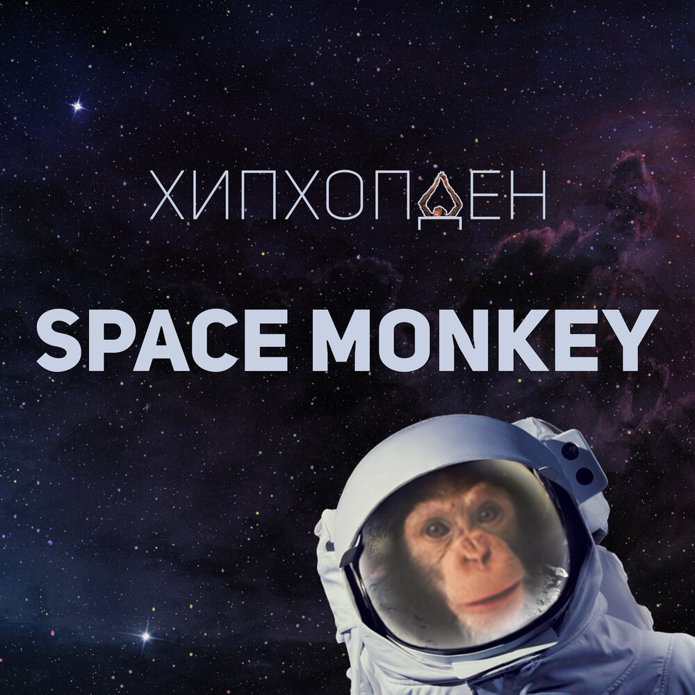 Space Monkey ашка. Space Monkey DJ. Monkey Space DJ фото. Space monkey