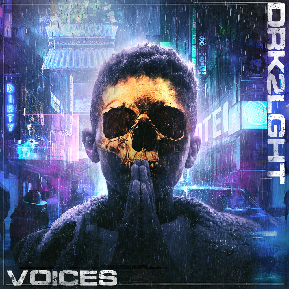 Voice album