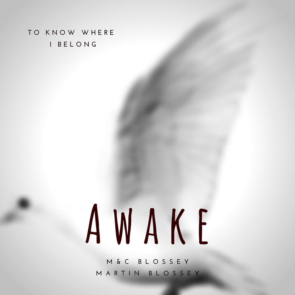 Awake. Awake слушать. Awake awoke awoken beat. Awake. Awakening (feat.