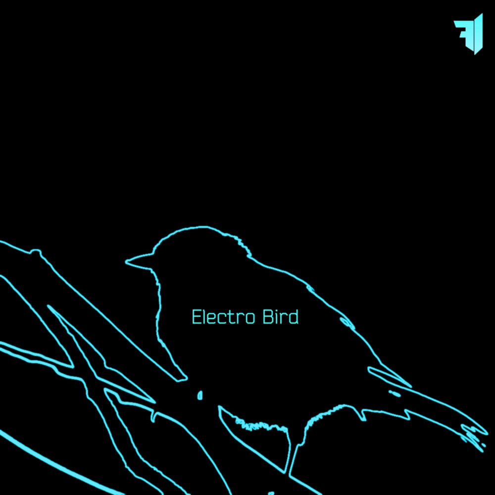 Электро птицы группа. Электроптицы альбом. Electro Birds музыка. Электро птицы ночь закончится.