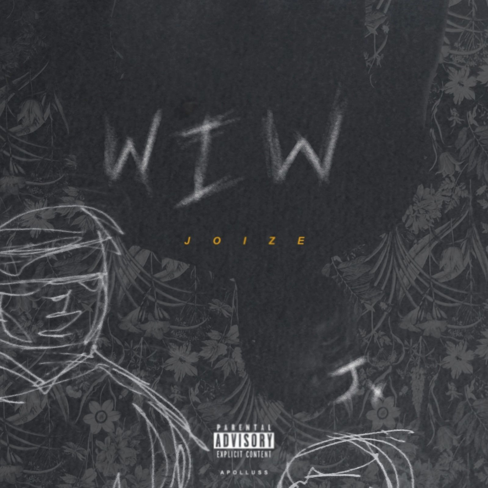 Анализатор трафика (сниффер). Joize. Moonlight альбом. Голливуд. Аватарки joise59.