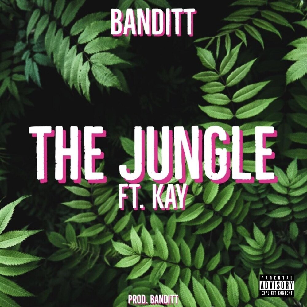 Jungle слово. BANDITT. Песня Jungle (feat. Hacktivist). Джунгли mp3. In the jungle текст