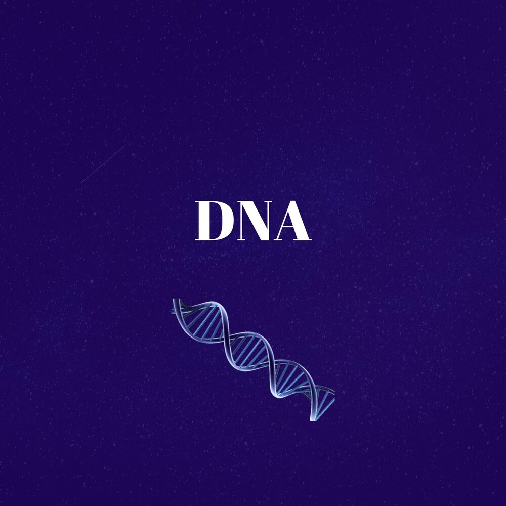 Днк музыка. Mix karaoke. Dna альбом. Dna слушать. Dna слушать.