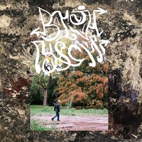 artist-cover