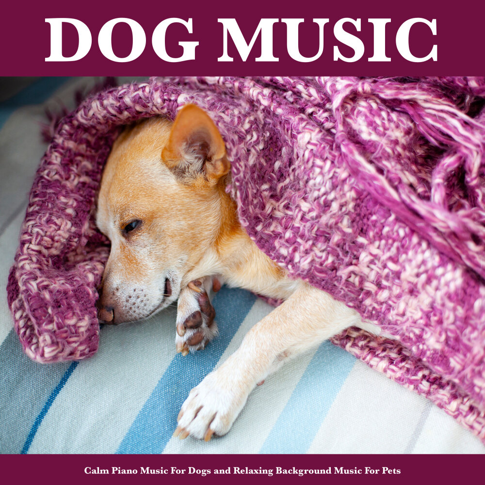 Dog music. Music Dog.